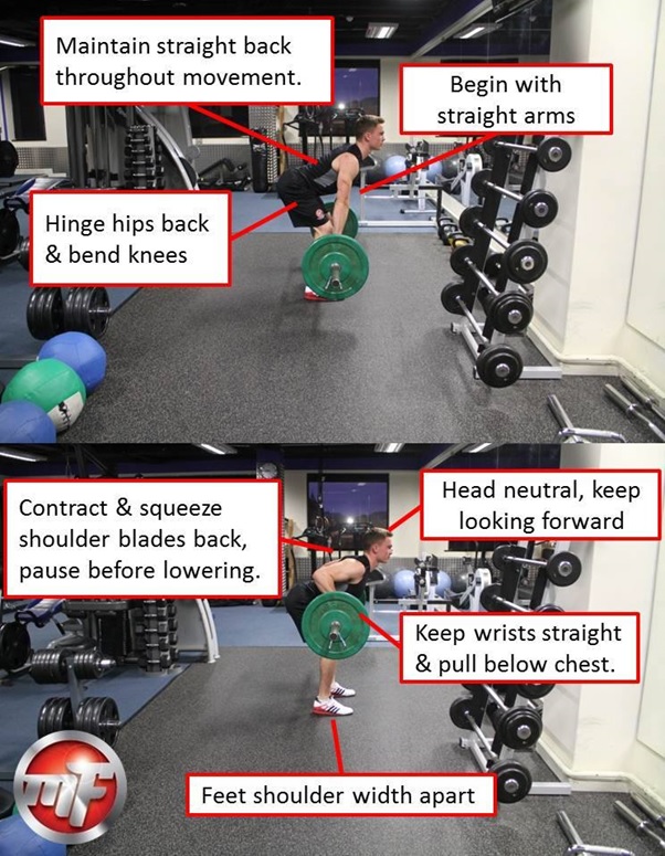 The Barbell Row Weight Lifting Exercise Tips